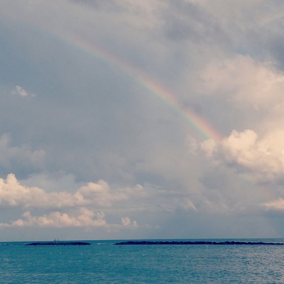 Meet your Posher, Vivi - Picture 1 of 1